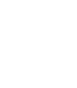 Magnet