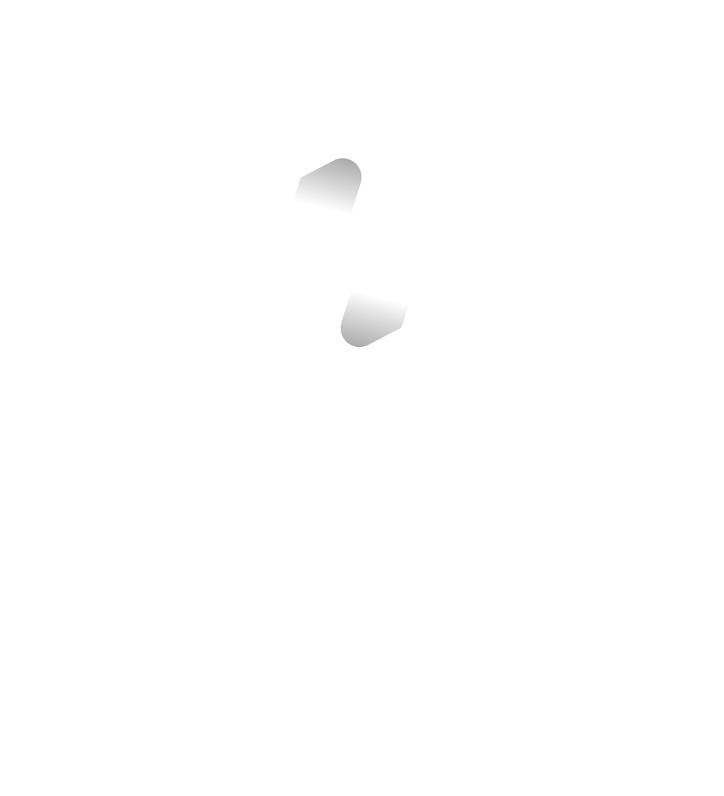 Zerviz